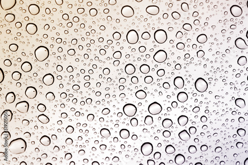 Rain droplet background
