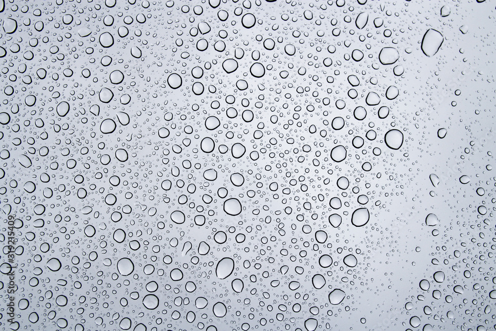 Rain droplet background Rain droplet background