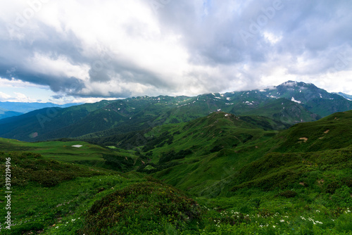 Fototapeta Naklejka Na Ścianę i Meble -  panorama of the Alpine mountains and high ridges. Caucasian mountains. summer landscape with mountains, flowers, blue sky, fresh air