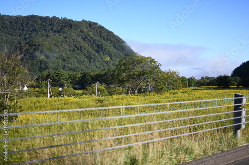 Wallpaper Mural 高速風景 Torontodigital.ca