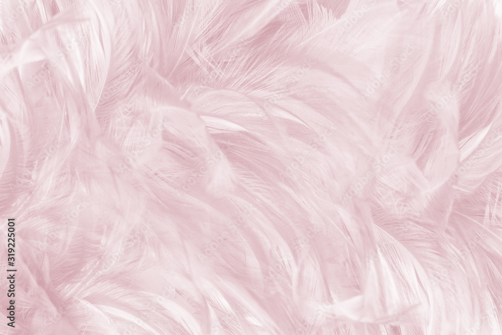 Beautiful violet - caral blush colors tone feather texture background, trends color