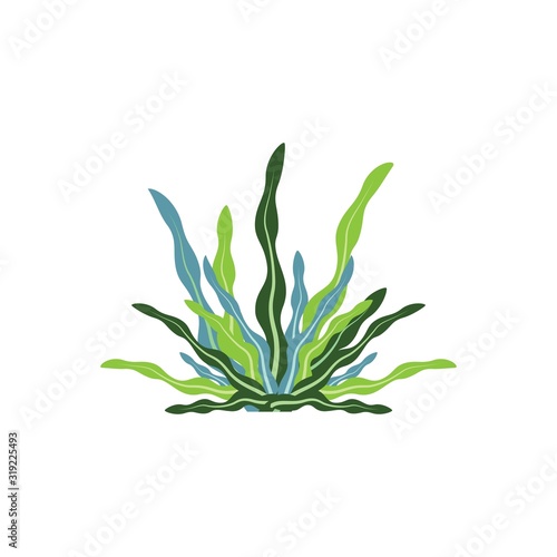 Seaweed logo template vector icon