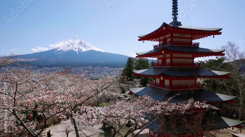 Cherry blossoms at Chureito pagoda in Spring, Japan.