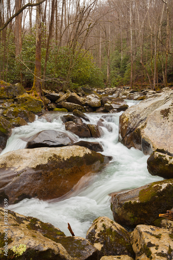 River and stream, smoky mountains, usa River and stream, smoky mountains, usa