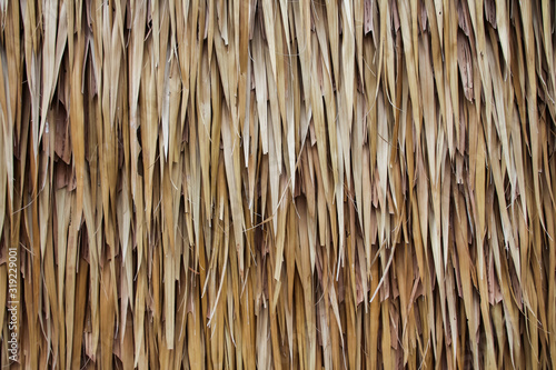 Nipa Palm Wall