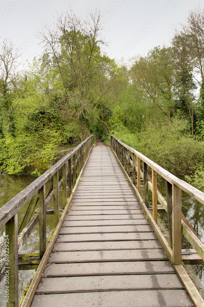 wooden bridge walkway