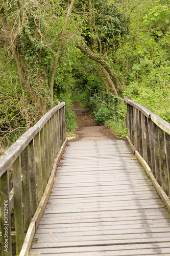 Obraz na płótnie wooden bridge walkway w salonie