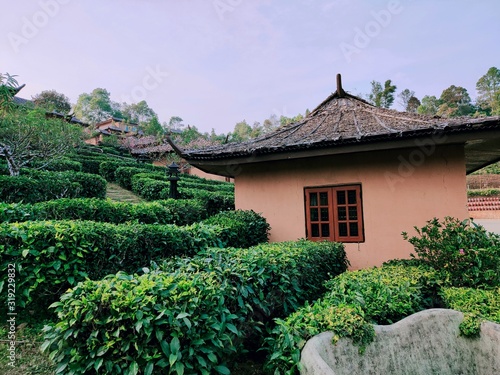 old house in garden