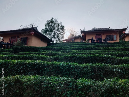 old house in the village