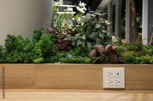 Plug Socket on the Wall with Pastel Background/Flower