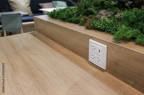 Plug Socket on the Wall with Pastel Background/Flower