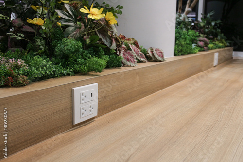 Plug Socket on the Wall with Pastel Background/Flower