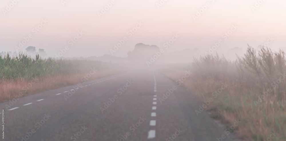 Road in misty rural landscape during spring.