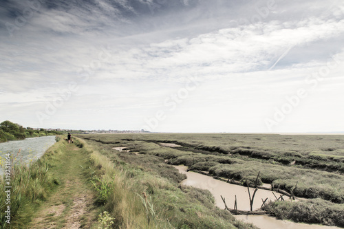 marsh lands landscape in england