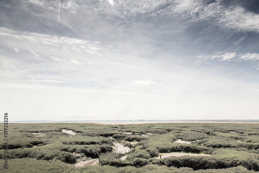 marsh lands landscape in england