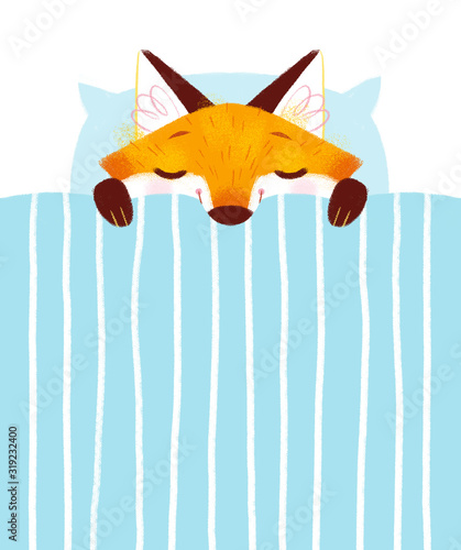 Sleeping Baby Fox