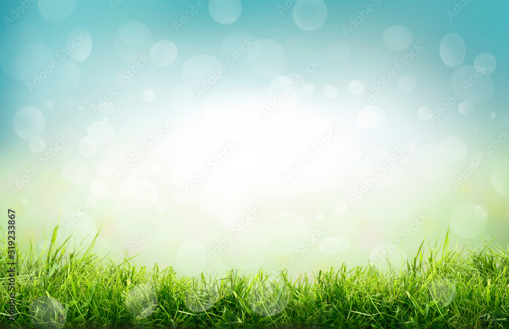 A natural spring garden background of fresh green grass and blurred blue sky bokeh