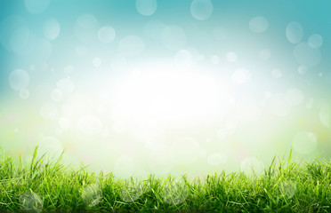 A natural spring garden background of fresh green grass and blurred blue sky bokeh