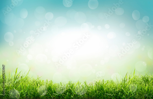 Obraz na płótnie A natural spring garden background of fresh green grass and blurred blue sky bokeh w salonie