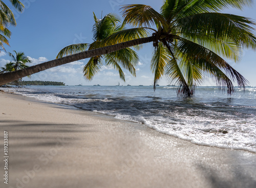 Caribbean beach with palm trees blue sea coral sand and blue sky. Tropical vacations to the Caribbean