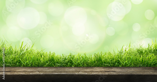 Obraz na płótnie A fresh spring sunny garden background of green grass and blurred foliage bokeh with a wooden table to place cut out products on. w salonie