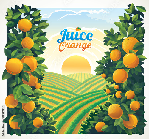 Rural landscape with orchard and branches with oranges in the foreground.