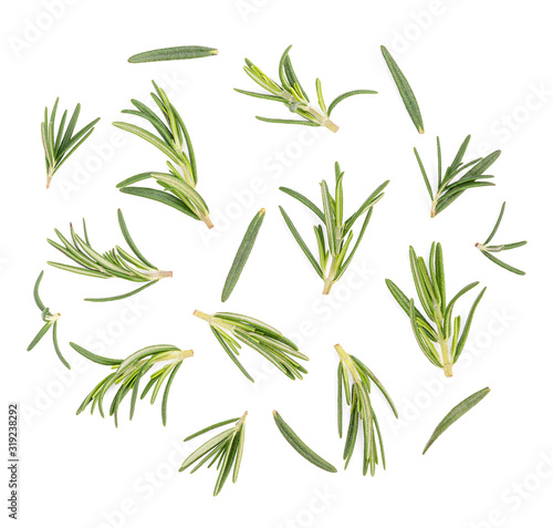 Rosemary isolated on white background, top view
