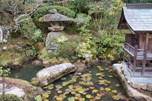 Japanese garden pond
