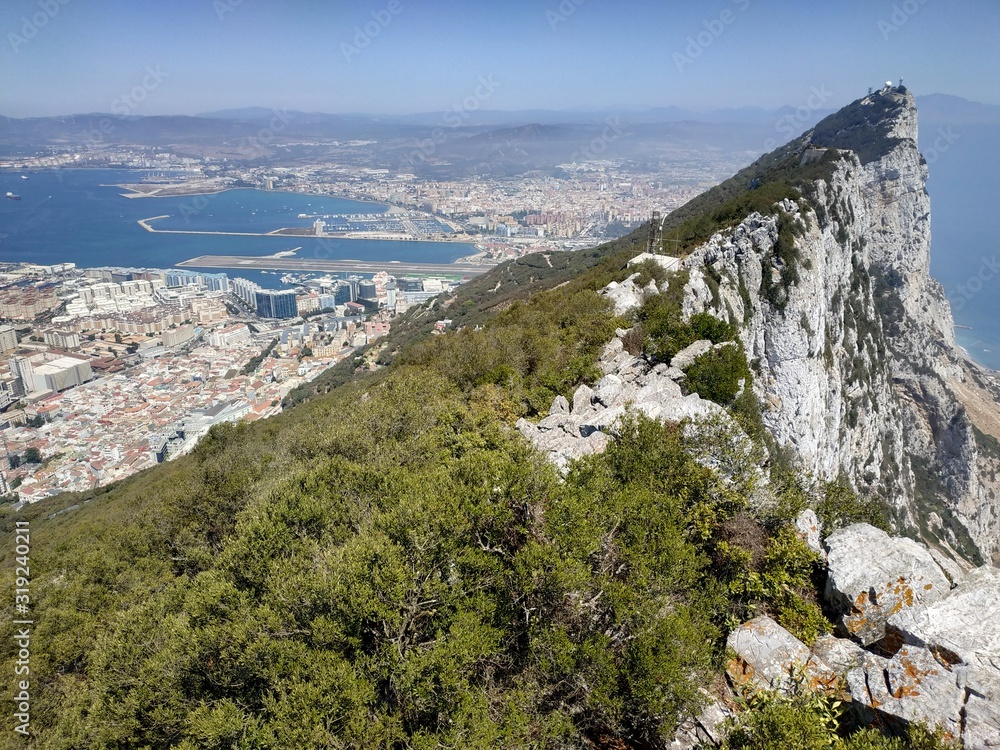 Monkey on panoramic view on the Gibraltar and Big Rock at sunny summer weather