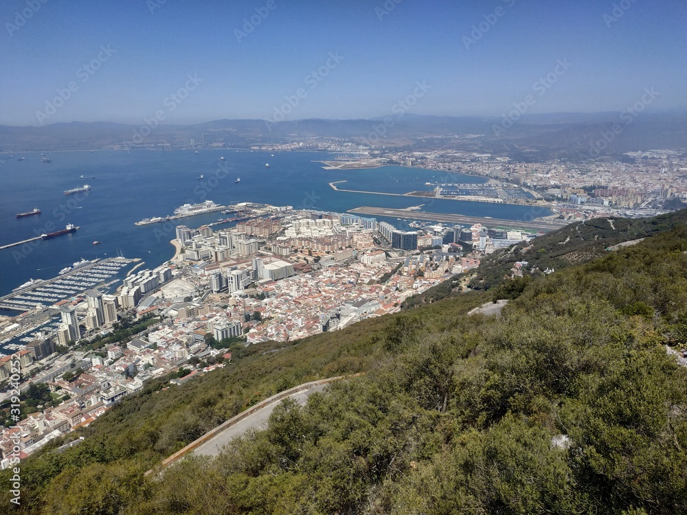 Monkey on panoramic view on the Gibraltar and Big Rock at sunny summer weather