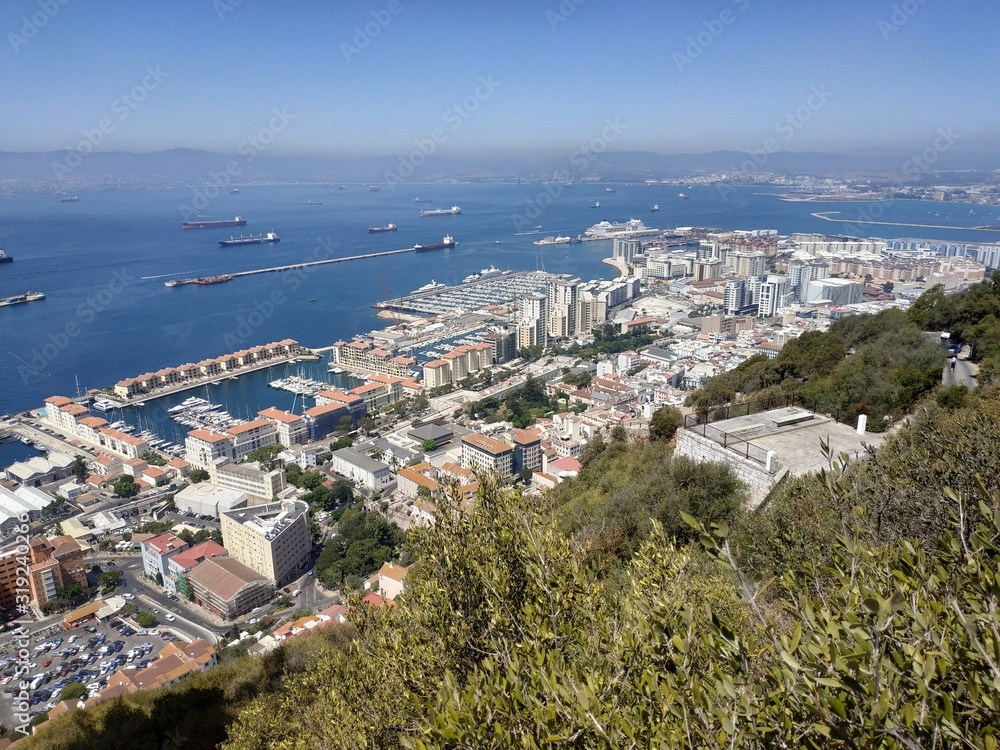 Obraz premium Monkey on panoramic view on the Gibraltar and Big Rock at sunny summer weather