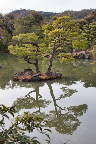 Japanese garden