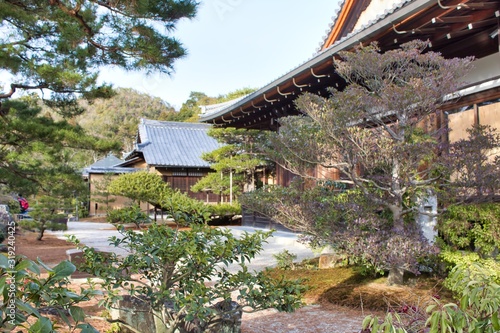 Japanese garden