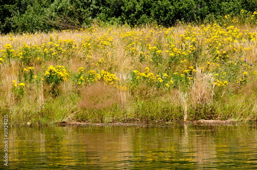 Landscape by Vlasinsko lake in Sarbia photo