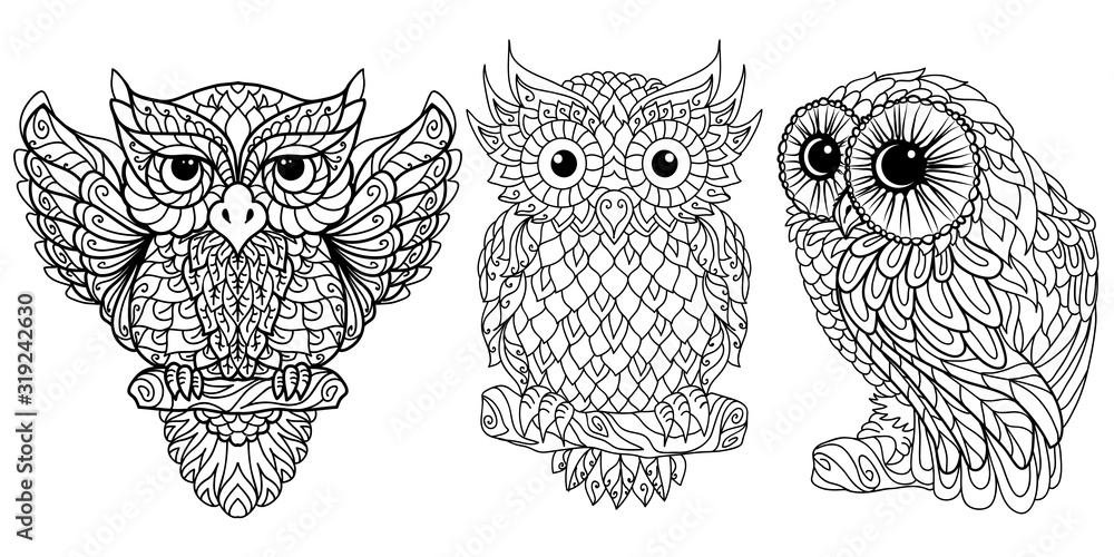 Obraz premium Owl. Coloring. A graphic black-and-white image of a set of three different owls on a white background.