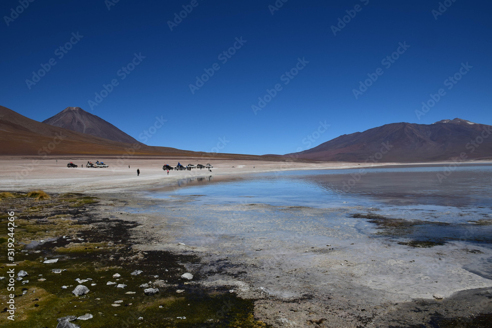 green or color lagune (Laguna Verde, laguna colorado), in the Bolivian highlands