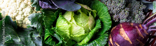 Canvas-taulu Banner of Various of Cabbage Broccoli Cauliflower