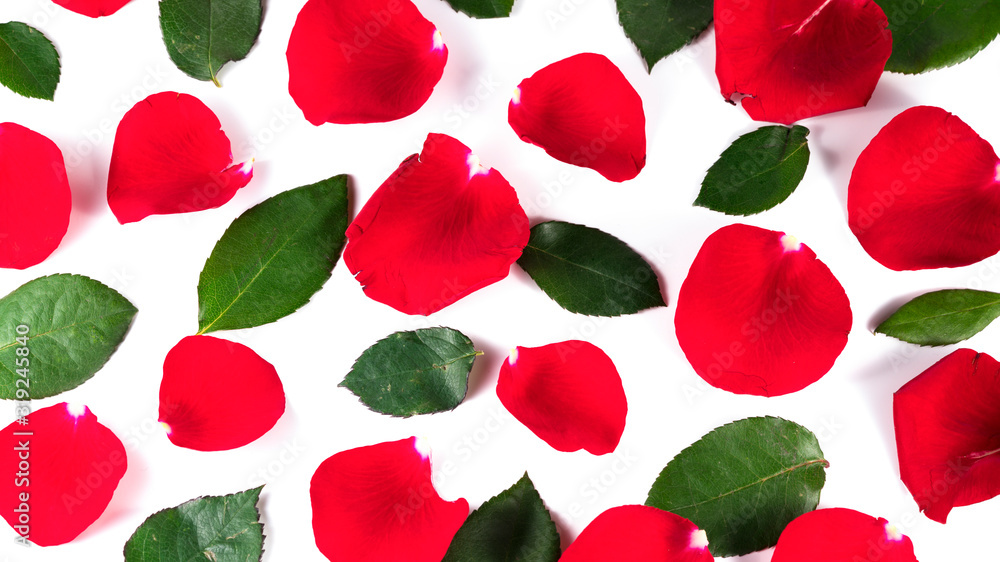 Valentine's Day. Rose flowers petals and green leaves on white background. Valentines day background. Flat lay, top view, copy space.