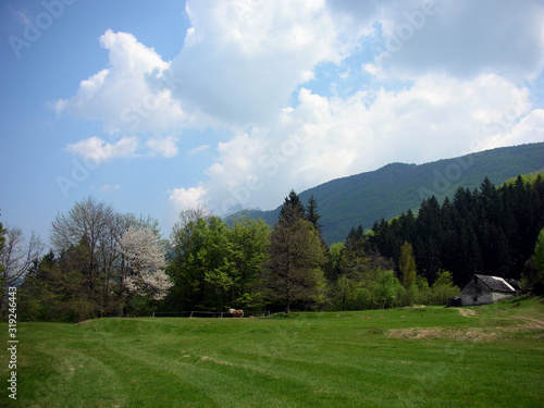 Paesaggio montano situato lungo la pista ciclabile che collega Malesco a Re (Valle Vigezzo) Piemonte (Italia)