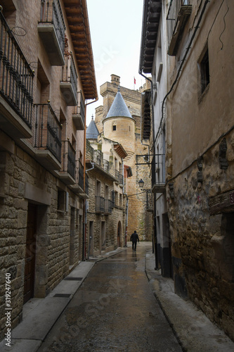Olite Castle in Navarra