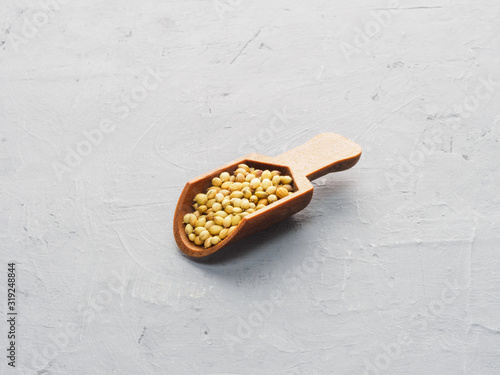 Spice coriander (Coriandrum sativum) in wooden scoop on gray concrete background. Diet and weight loss concept