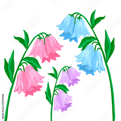 Flowers bells different flowers. Vector plants on a white background.