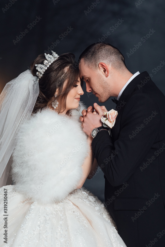 Gentle touch of the groom to the bride, walk in evening. Bride. The first kiss of a newly formed wedding family. Beautiful bride and handsome man groom kissing. Winter wedding Gentle touch of the groom to the bride, walk in evening. Bride. The first kiss of a newly formed wedding family. Beautiful bride and handsome man groom kissing. Winter wedding