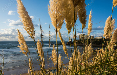 COTE DES BASQUES