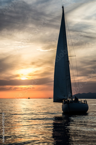 REGATA DEI CETACEI