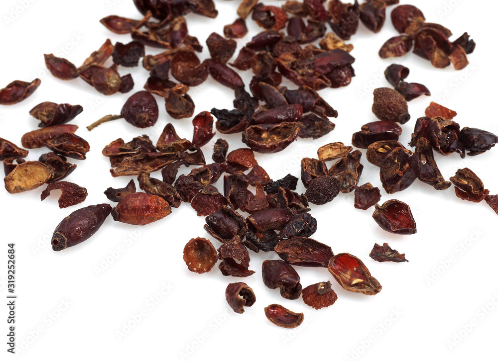 Obraz premium CYNORRHODON