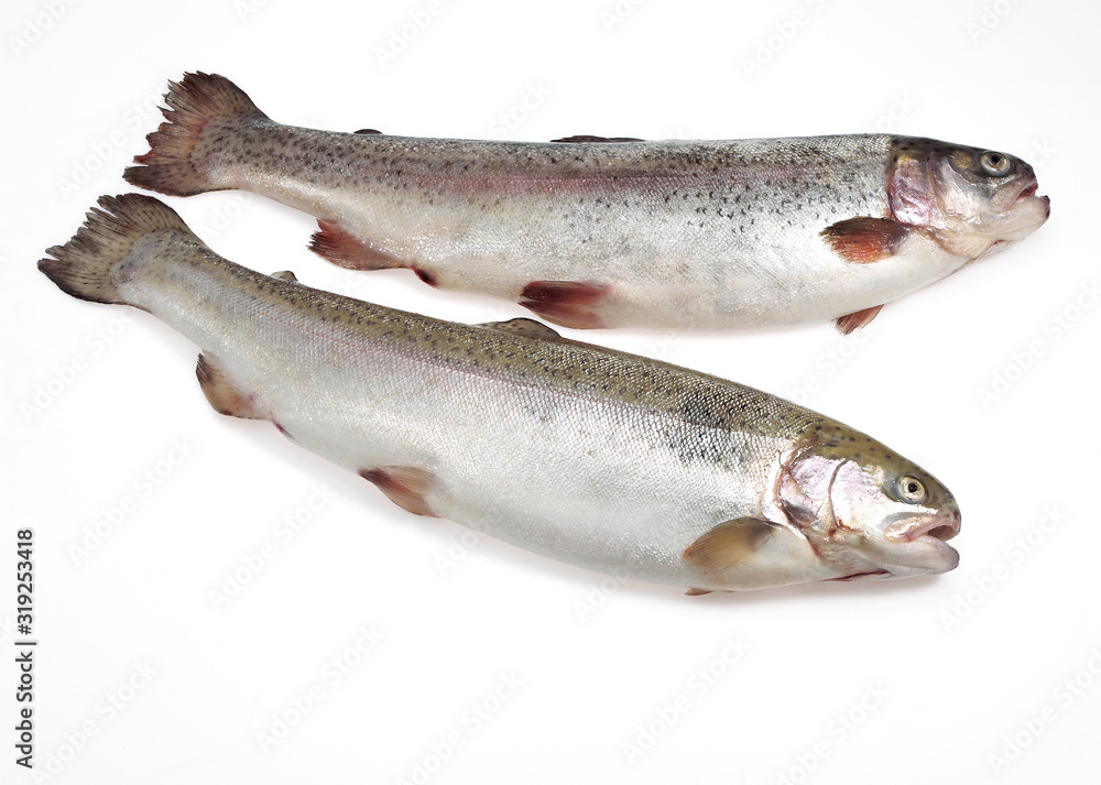 TRUITE DE MER TRUITE DE MER
