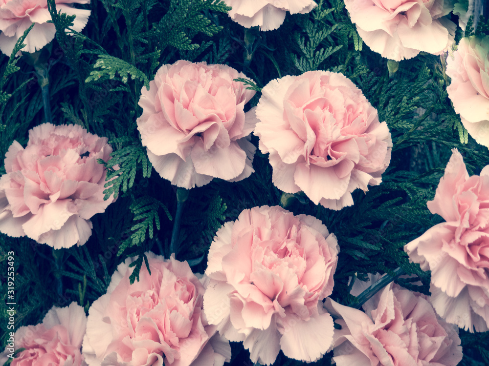 Flowers background with pink flowers Flowers background with pink flowers
