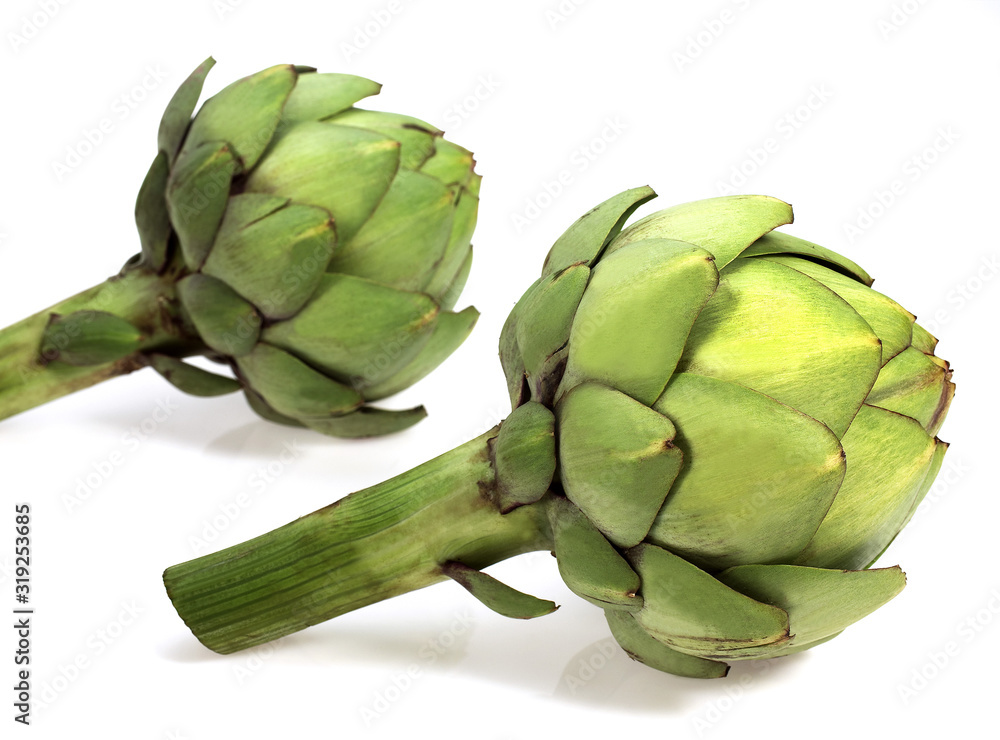 Obraz premium ARTICHAUT