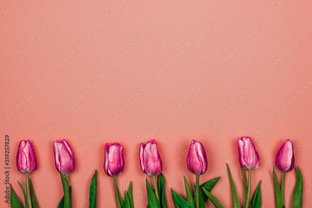 women's day card. seven pink tulips in row on botom on pink background